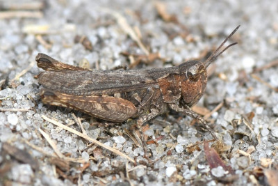 DSC_3496.JPG