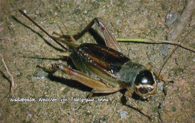 IMG_20260920_195551.png