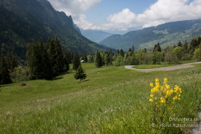 Landschaft mit Blick Richtung Thunersee.