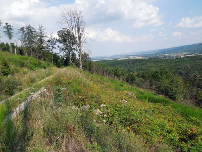 DSCN2468.JPG