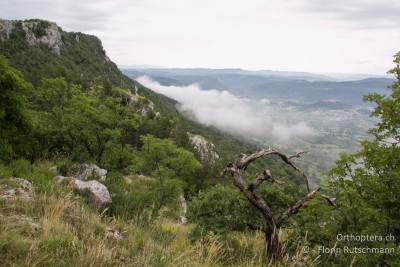 Meistens zogen am Morgen Nebelschwaden über die Landschaft und der Himmel war fast immer grau in grau.