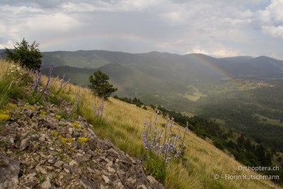 Immer wieder führten einige Lücken in der Wolkendecke für schöne Lichtstimmungen oder bunte Regenbogen.