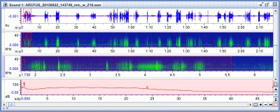 Oscillogramm, Spectrogramm Spectrogramm des markierten Abschnittes und dessen gemitteltes Powerspectrum