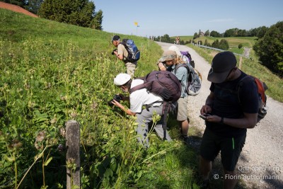 Kaum auf der ersten Wiese, geht es schon los! Die einen knipsen, die anderen gucken oder tippen schon mal die Beobachtungen ins Smartphone.