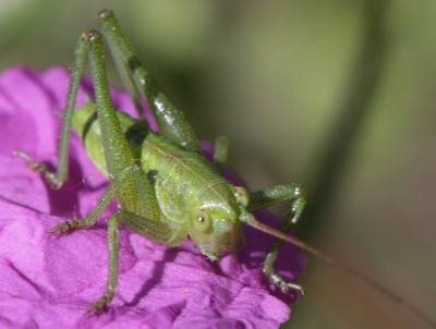 078312-K00.jpg