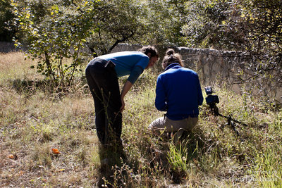 10.10.2011 - Italien, Abruzzen, Palombaro<br />....auf Tetrix-Jagd