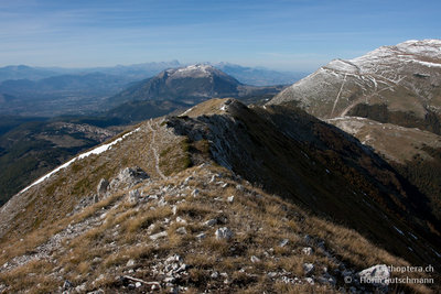 12.10.2011 - Italien, Abruzzen, Monte Porrara<br />Entlang des Grats des Monte Porrara führt ein schöner Panorama-Weg. Aber auch die Heuschrecken am Wegesrand sind alleine schon eine Wanderung über den gut 2100m hohen Gipfel wert