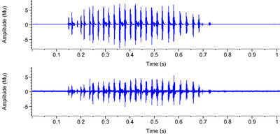 Abb.1 CHOALB einbeinig, Oscillogramm ab BatBox Duet, oben Frequenzdivision, unten heterodyn 40kHz.  Bessere Qualität des Oscillogramms mit der Frequenzdivision. (Ohne die Möglichkeit, den Gesang aufzunehmen und mit PC darzustellen nützt die Funktion allerdings nichts.)