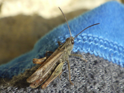 R0011637a.jpg