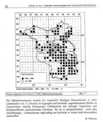 Kartierungsstand 2000 Tetrix subulata