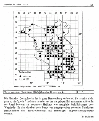 Kartierungsstand 2000 Tetrix undulata