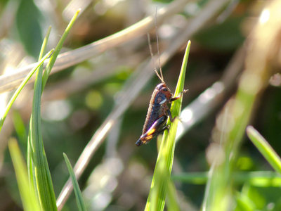 120602_FZ50_IMG_09804.jpg