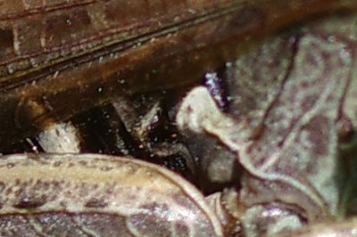 L3_01286_c.jpg