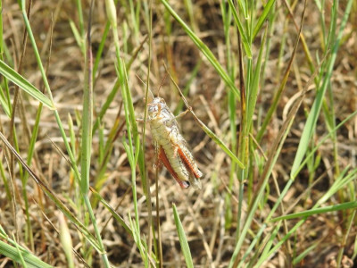 DSCN0367.JPG