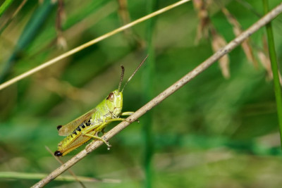 DSC07629_DxO.jpg