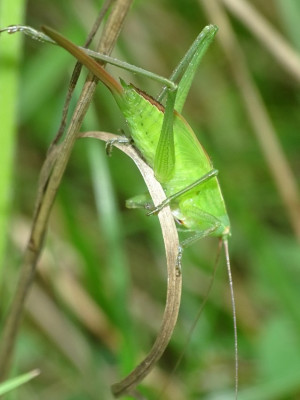 DSC05822.JPG