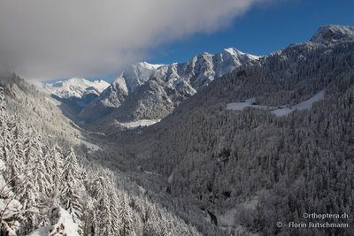 Verschneite Landschaft im Grossen Walsertal - 01.12.2012