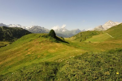 Sicht auf die Fichtengruppe, Seeberge, Andeer