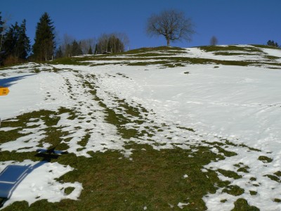 Blick vom selben Standort hangaufwärts