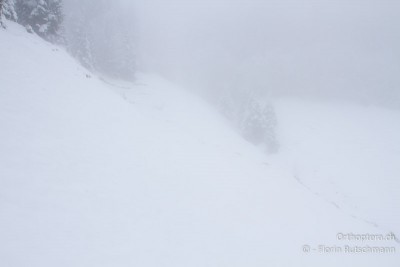 14.01.2014 - Chorthippus biguttulus-Wiese im Schnee.